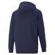 Puma Ess+ 2 Col Big Logo Hoodie TR