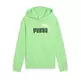 Puma ESS 2 COLOR No.1 Logo TR B"Spring Fern"