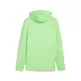 Puma EVOSTRIPE Full-Zip Hoodie DK "Spring Fern"