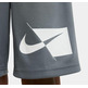 Short Niño Nike Dri-FIT "Grey"